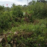 WhatsApp Image 2023-02-21 at 3.04.46 PM (1)