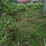 WhatsApp Image 2023-02-21 at 3.04.46 PM (2)