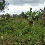 WhatsApp Image 2023-02-21 at 3.04.47 PM