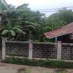 WhatsApp Image 2023-02-27 at 9.02.05 AM (1)