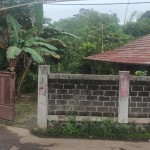 WhatsApp Image 2023-02-27 at 9.02.06 AM