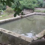 WhatsApp Image 2023-02-27 at 9.02.07 AM