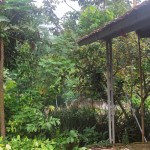 WhatsApp Image 2023-02-27 at 9.02.08 AM