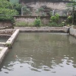 WhatsApp Image 2023-02-27 at 9.02.10 AM (1)