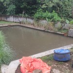 WhatsApp Image 2023-02-27 at 9.02.10 AM