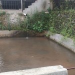 WhatsApp Image 2023-02-27 at 9.02.12 AM (1)