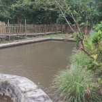 WhatsApp Image 2023-02-27 at 9.02.13 AM