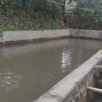 WhatsApp Image 2023-02-27 at 9.02.14 AM