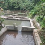 WhatsApp Image 2023-02-27 at 9.02.16 AM (1)