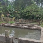 WhatsApp Image 2023-02-27 at 9.02.16 AM