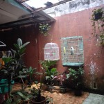 WhatsApp Image 2022-08-16 at 12.24.23