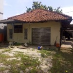 WhatsApp Image 2022-08-22 at 12.22.03