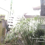 WhatsApp Image 2022-08-31 at 10.53.30
