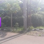 WhatsApp Image 2022-11-04 at 11.05.13 AM (1)