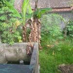 WhatsApp Image 2023-04-16 at 9.14.08 AM (1)