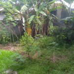 WhatsApp Image 2023-04-16 at 9.14.08 AM