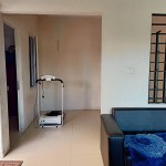 WhatsApp Image 2023-04-19 at 05.11.55 (1)