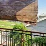 WhatsApp Image 2023-04-19 at 05.11.57