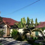 WhatsApp Image 2023-05-02 at 11.09.07 AM (2)