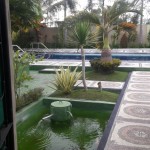 WhatsApp Image 2023-05-02 at 11.09.08 AM