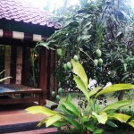 WhatsApp Image 2023-05-02 at 11.09.08 AM (2)