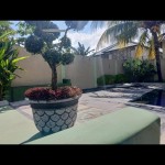 WhatsApp Image 2023-05-02 at 11.09.08 AM (4)