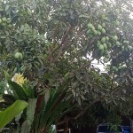 WhatsApp Image 2023-05-02 at 11.09.08 AM (5)