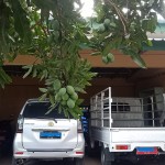 WhatsApp Image 2023-05-02 at 11.09.08a AM (3)