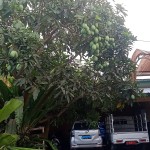 WhatsApp Image 2023-05-02 at 11.09.08i AM (1)