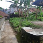 WhatsApp Image 2023-05-03 at 12.50.04 PM