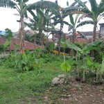 WhatsApp Image 2023-05-03 at 12.50.05 PM