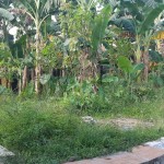 WhatsApp Image 2023-05-03 at 12.50.07 PM (1)