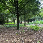 WhatsApp Image 2023-05-16 at 1.37.29 PM (2)