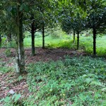 WhatsApp Image 2023-05-16 at 1.37.30 PM (1)