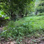 WhatsApp Image 2023-05-16 at 1.37.30 PM