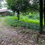 WhatsApp Image 2023-05-16 at 1.37.30 PM (2)