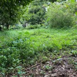 WhatsApp Image 2023-05-16 at 1.37.31 PM (1)