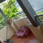 WhatsApp Image 2023-05-16 at 1.58.39 PM