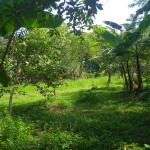 WhatsApp Image 2023-05-25 at 10.11.58 AM