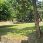 WhatsApp Image 2023-05-25 at 10.11.59 AM (1)