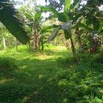 WhatsApp Image 2023-05-25 at 10.11.59 AM