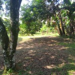 WhatsApp Image 2023-05-25 at 10.11.59 AM (2)