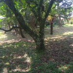 WhatsApp Image 2023-05-25 at 10.12.00 AM