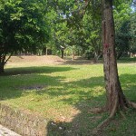 WhatsApp Image 2023-05-25 at 10.12.00 AM (2)