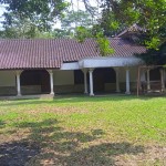 WhatsApp Image 2023-05-25 at 10.12.02 AM (1)