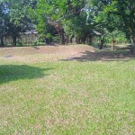 WhatsApp Image 2023-05-25 at 10.12.03 AM