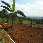 WhatsApp Image 2023-05-29 at 09.57.54