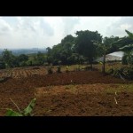 WhatsApp Image 2023-05-29 at 09.57.55 (1)