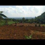 WhatsApp Image 2023-05-29 at 09.57.55