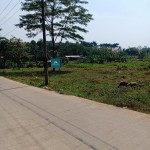 Untitled design (11)